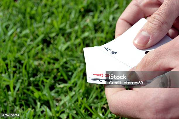 People Playing Poker In The Grass Stock Photo - Download Image Now - Affectionate, Animal, Animal Markings