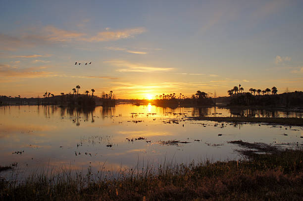 istock Sunrise in Orlando Wetlands Park 476289877