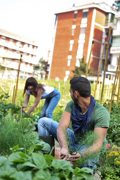 istock People Working in a Urban City Vegetables Garden 476291186