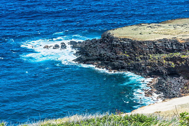 istock The lava coast in Big Island, Hawaii 476291232
