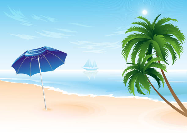 illustrazioni stock, clip art, cartoni animati e icone di tendenza di estate spiaggia con palme - horizon over water transportation sailing hawaii islands