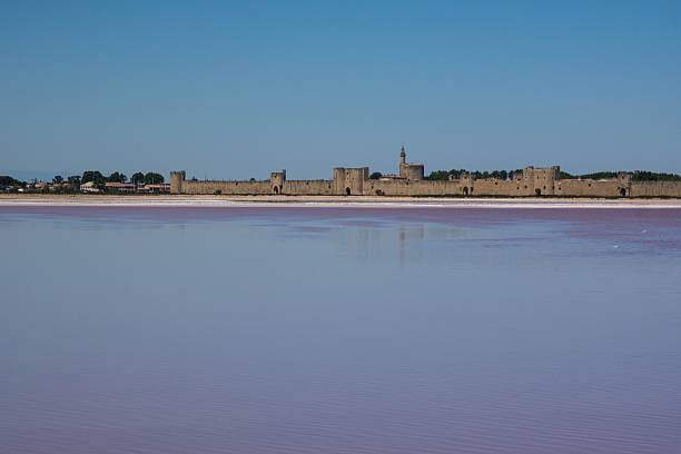 istock the saline di Aigues Mortes, Camargue 476294420