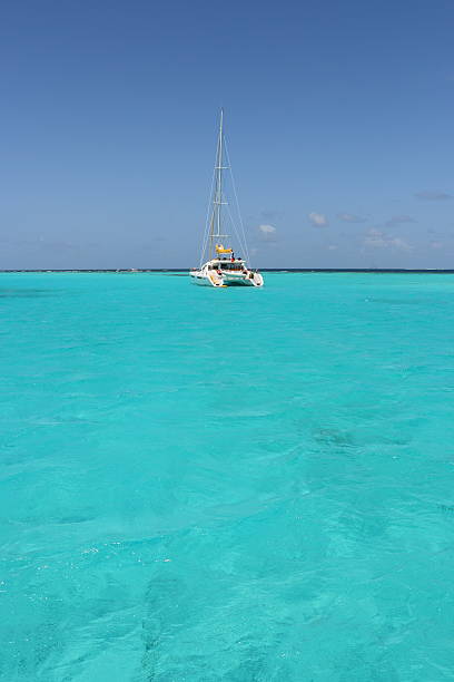 istock Catamaran sailing Boat Anchorage Sea 476295256
