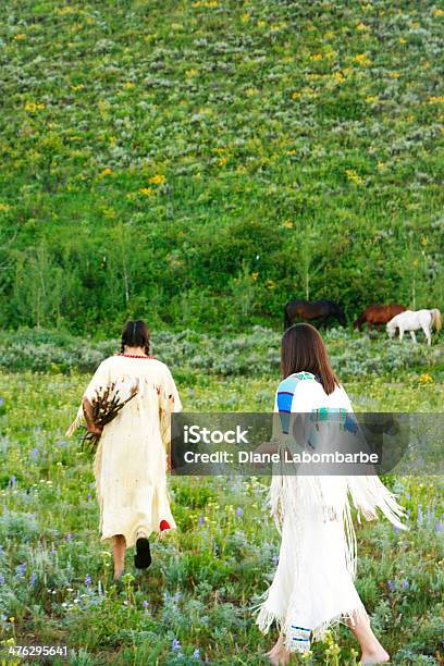 Zwei Native American Frauen Sammeln Von Brennholz In Rehleder Kleider Stockfoto und mehr Bilder von Baum