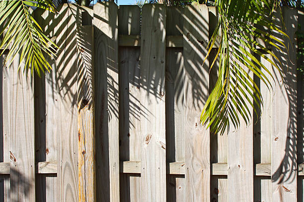 privacidade de madeira de muro com palmeiras suspenso - picket line fotos - fotografias e filmes do acervo
