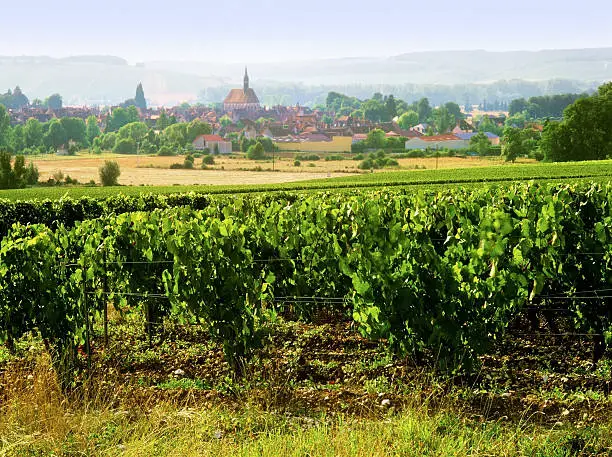 chablis village and vineyards burgundy france