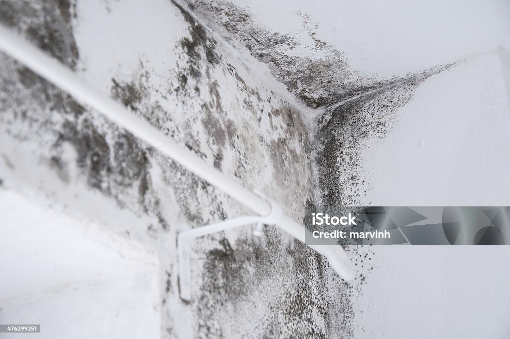 Water Damage in Bathroom with mold Big water damage in bathroom with mold. Black Color Stock Photo