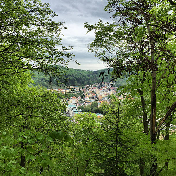 View on Karlovy Vary from a hill