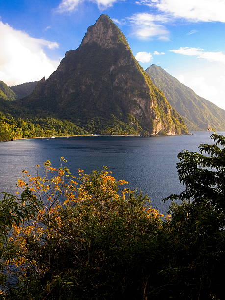 istock Pitons Saint Lucia Caribbean windward island 476299992