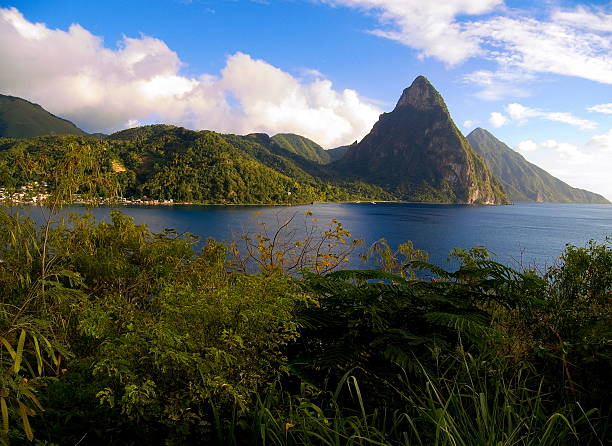 Pitons Saint Lucia Caribbean windward island