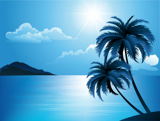 illustrazioni stock, clip art, cartoni animati e icone di tendenza di estate spiaggia con palme - horizon over water transportation sailing hawaii islands