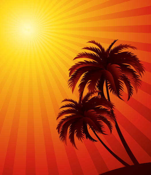 Vector sunset background Vector sunset background with palm tree silhouette. For poster or flyer design competition heat stock illustrations