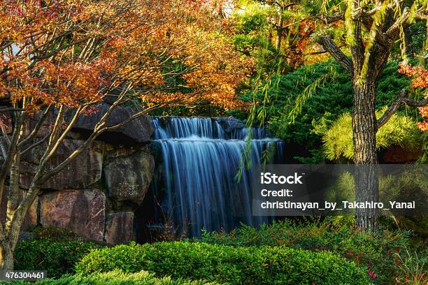 Pequena Cascata No Outono Japão - Fotografias de stock e mais imagens de Ao Ar Livre - Ao Ar Livre, Cascata, Cor verde