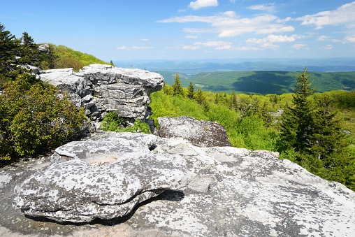 Dolly Sods Wilderness in Spring, West Virginia, USA