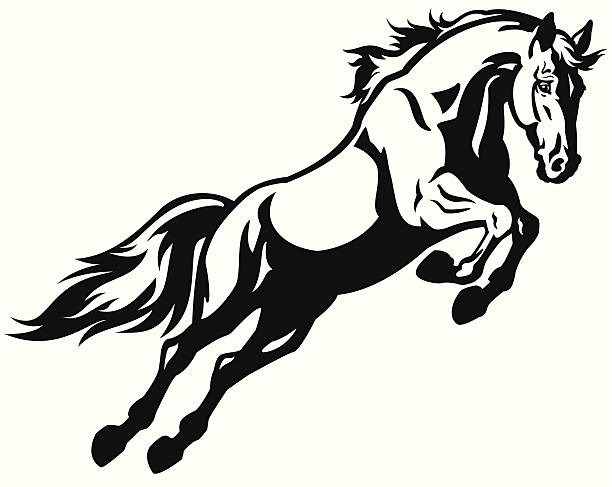 ilustraciones, imágenes clip art, dibujos animados e iconos de stock de saltos de caballo - caballo saltando