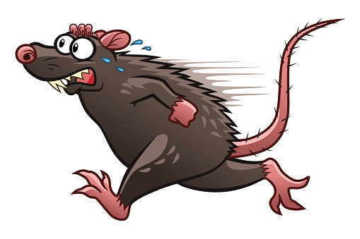 Escaping Rat Stock Illustration - Download Image Now - Rat, Running, Fear -  iStock