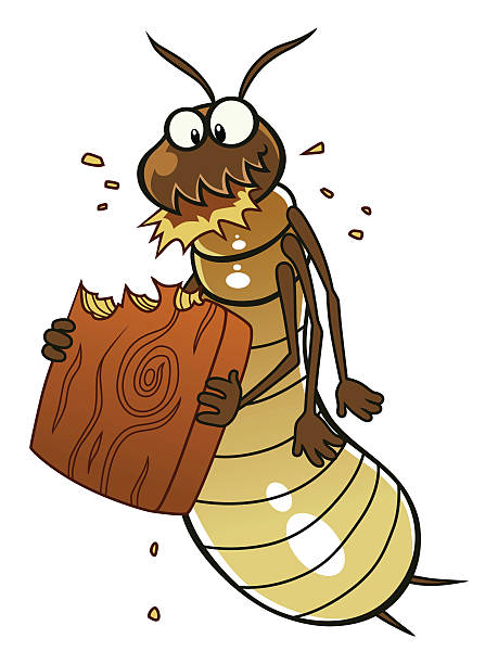 Termite eats wood Cartoon termite eats piece of wood. termite stock illustrations