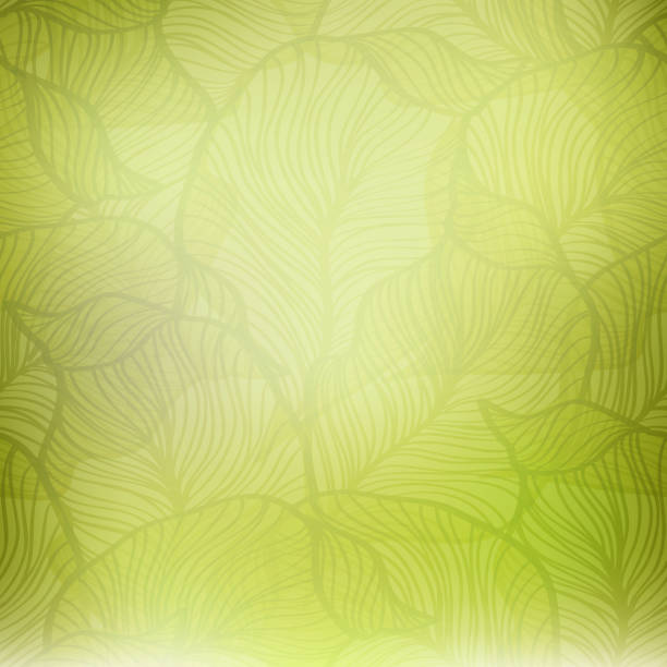 tło zielone tło w stylu vintage - dirty floral pattern scroll ornate stock illustrations