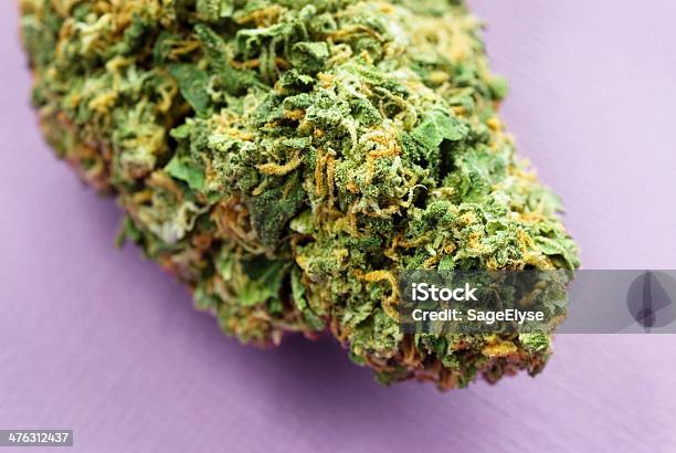 Marijuana Bud Na Fioletowym - zdjęcia stockowe i więcej obrazów Bez ludzi - Bez ludzi, Bliskie zbliżenie, Botanika
