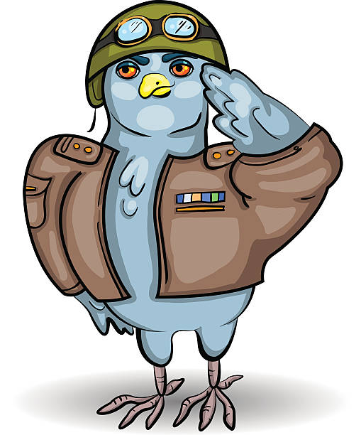 wojskowy gołąb ilustracja wektorowa - flitting stock illustrations