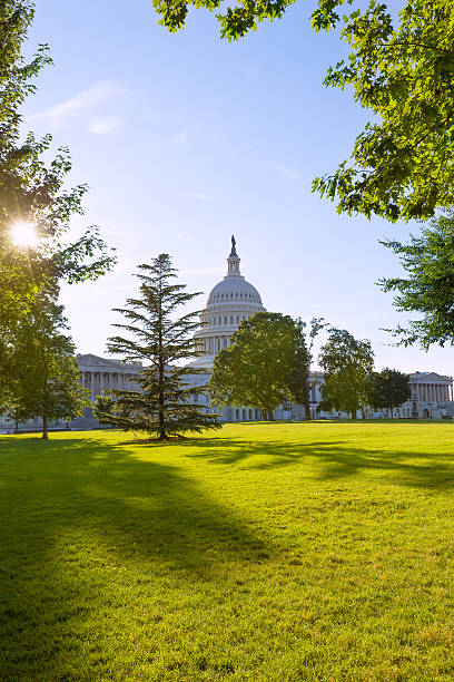 istock Capitol building Washington DC sunset garden US 476314024