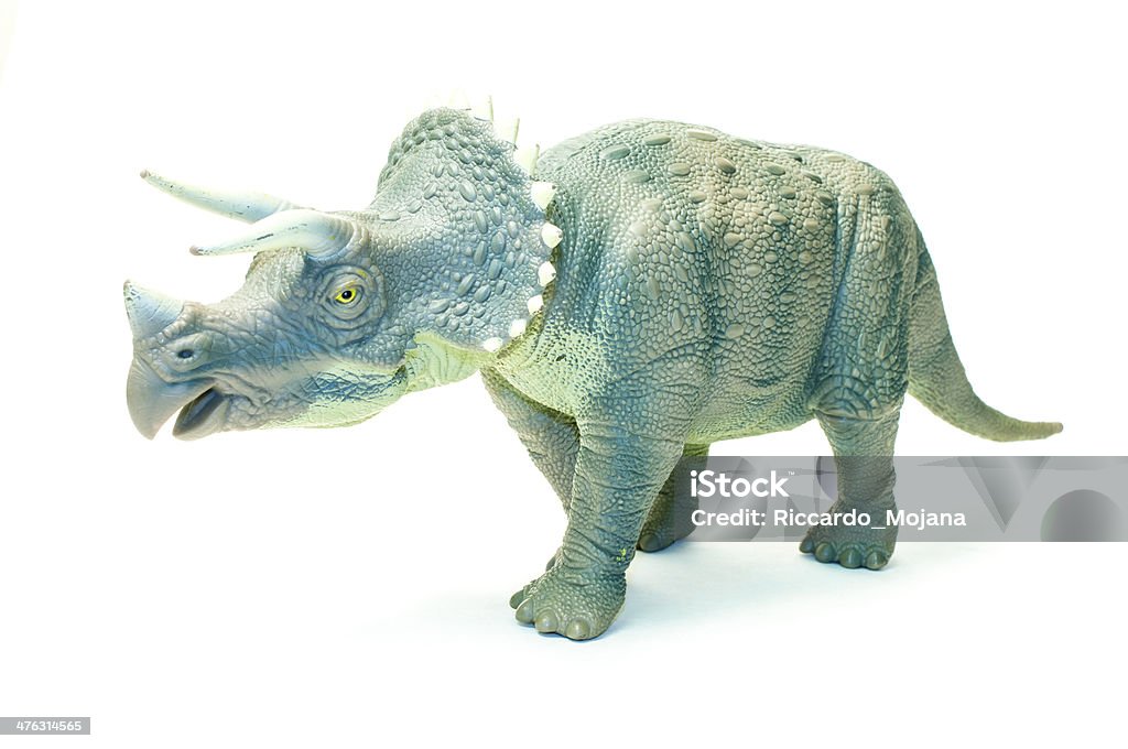 Triceratops Triceratops isolated on white background Triceratops Stock Photo