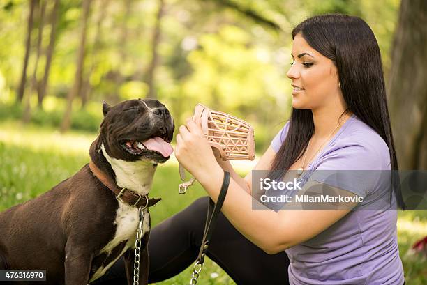 Girl And Dog Stock Photo - Download Image Now - Restraint Muzzle, Dog, Snout