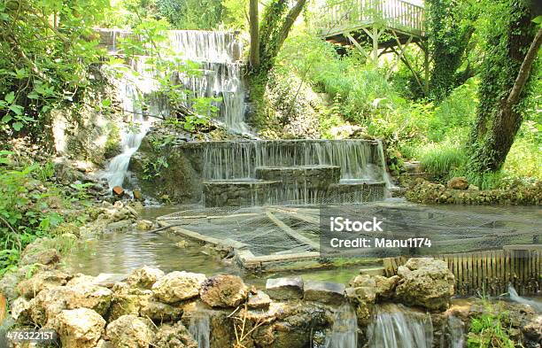 Pequeña Cascada En El Bosque Foto de stock y más banco de imágenes de Aislado - Aislado, Ajardinado, Appalachia