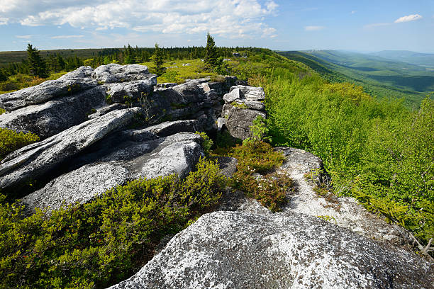 istock Rock Formation at Dolly Sods Wilderness 476331632