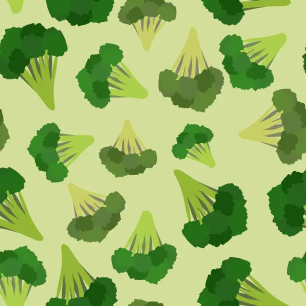 Vector illustration of Broccoli seamless pattern. Green broccoli von vector vegetable