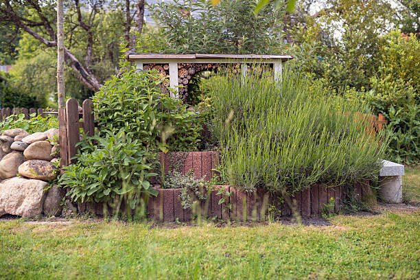 insetto hotel con giardino arangement - mentha rotundifolia foto e immagini stock