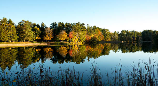 istock Fall foliage at Lake Shaftsbury in Vermont 476336210