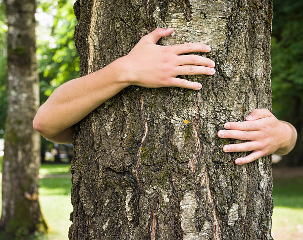 istock For The Love Of A Tree 476345701