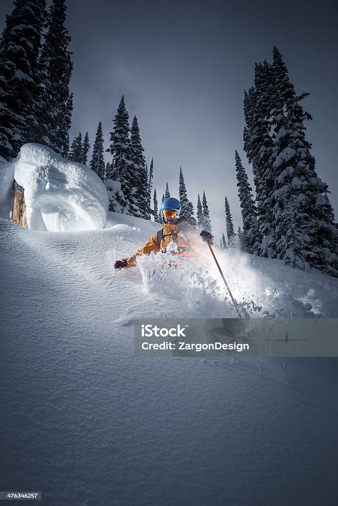 Pratique du ski dans la poudreuse - Photo de Arbre libre de droits