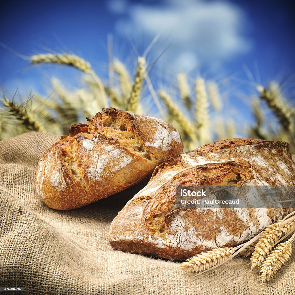 Świeżo Pieczone tradycyjny Chleb z pola pszenicy na tle - Zbiór zdjęć royalty-free (Bochenek chleba)