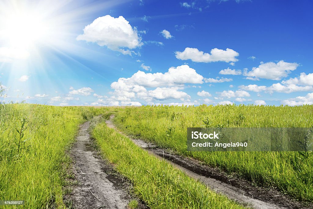 Ruhige, sonnige ländliche Landschaft in großen field und der country road - Lizenzfrei Agrarbetrieb Stock-Foto
