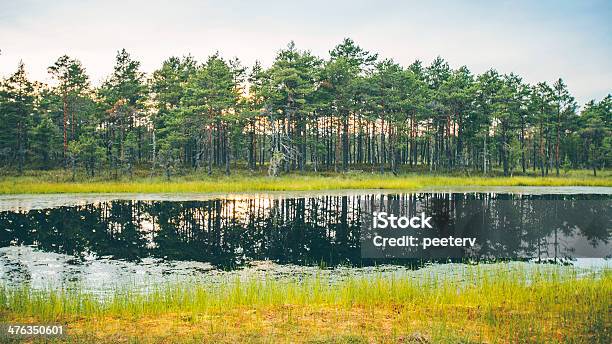 Nordic Landscape Stock Photo - Download Image Now - Baltic Countries, Bog, Cloud - Sky