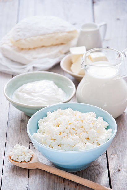 produtos lácteos frescos - farmers cheese imagens e fotografias de stock