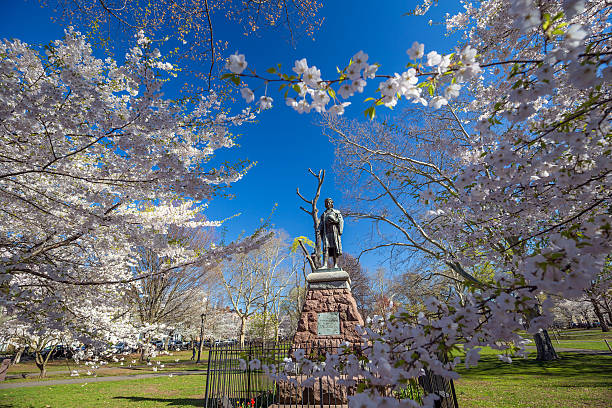 istock Wooster Square in New Haven 476354636