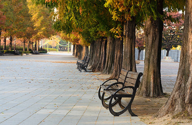 istock Autumn in the park 476356276