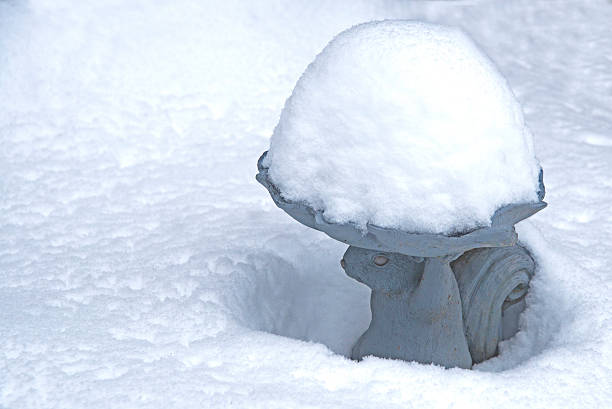 istock Little squirrel figurine holds up snow. 476358394