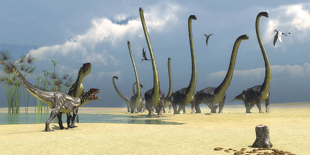 Allosaurus and Omeisaurus Dinosaurs Three Dorygnathus flying reptiles watch as two Allosaurus predators prepare for an attack on a herd of Omeisaurus dinosaurs. raptor dinosaur stock pictures, royalty-free photos & images