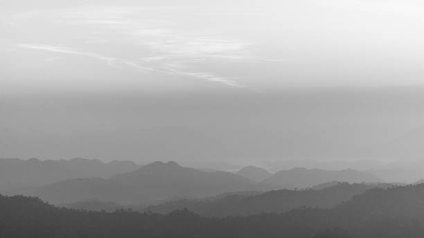 istock Abstract black and white background with tree in sunrise 476359696