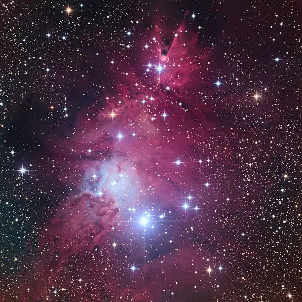 NGC 2264, Christmas Tree Cluster and Cone Nebula, in the constellation of Monoceros. Image captured by myself, using professional equipment and processing.