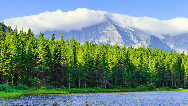 istock Swiftcurrent lake in high alpine landscape 476366194