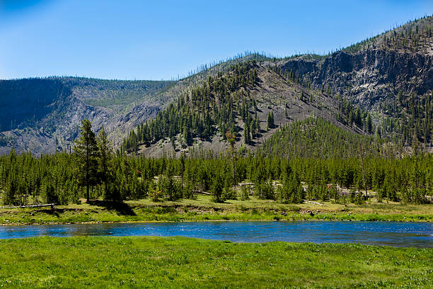 istock Nature:  Beautiful landscape in Yellowstone National Park. 476368045