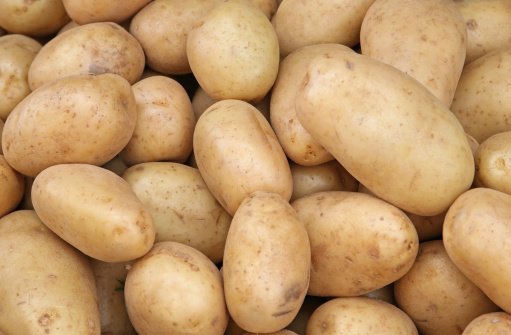 Fresh organic white potatoes pile on market stall