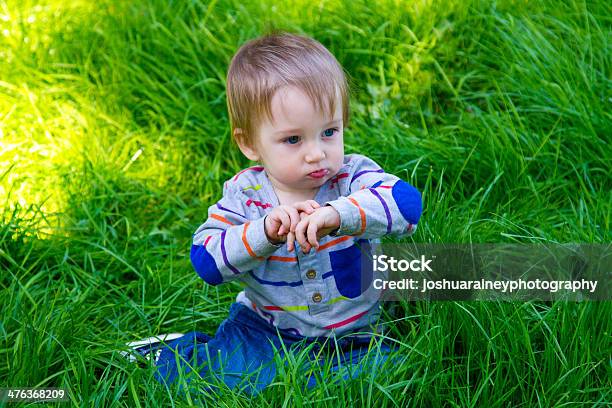 Jungen Spielen Im Gras Stockfoto und mehr Bilder von 12-17 Monate - 12-17 Monate, 12-23 Monate, Erforschung