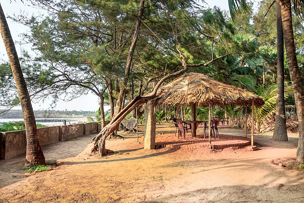 istock Palm tree garden hut Arabian Sea Coast 476368995