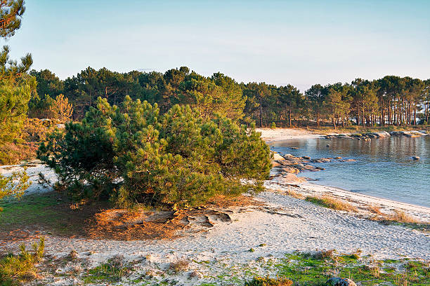 istock Carreiron natural park 476373306
